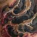 Tattoos - bio neck - 62547